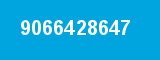 9066428647