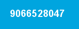 9066528047
