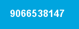9066538147