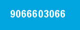 9066603066