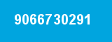 9066730291