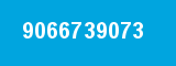 9066739073