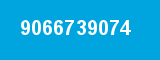9066739074