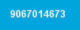 9067014673