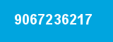 9067236217