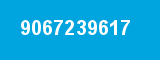 9067239617 9067239617