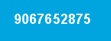 9067652875 9067652875