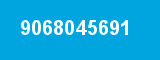 9068045691