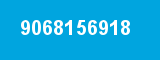 9068156918