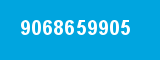 9068659905