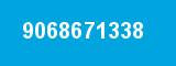9068671338