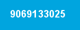 9069133025