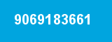 9069183661
