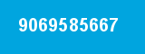 9069585667