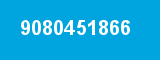 9080451866