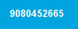 9080452665