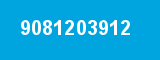 9081203912