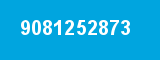 9081252873