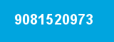 9081520973