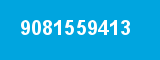 9081559413