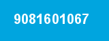 9081601067