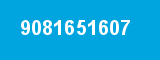 9081651607