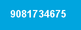 9081734675