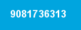 9081736313