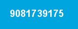 9081739175
