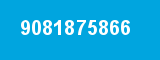 9081875866