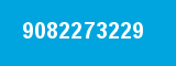 9082273229