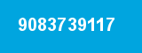 9083739117