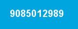 9085012989