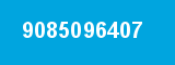 9085096407