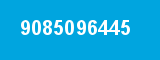9085096445
