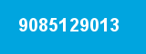9085129013