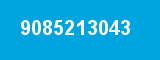9085213043