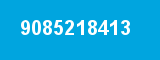 9085218413