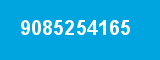 9085254165