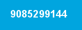 9085299144