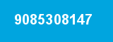 9085308147