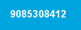 9085308412