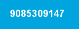 9085309147