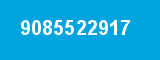 9085522917