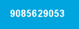9085629053