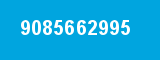 9085662995