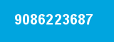 9086223687