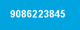 9086223845
