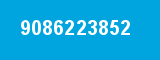 9086223852