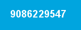 9086229547